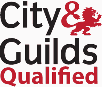 City and Guilds qualified electrician