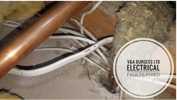 Rodent Damaged Cables - Electrical Faults Fixed, Liverpool